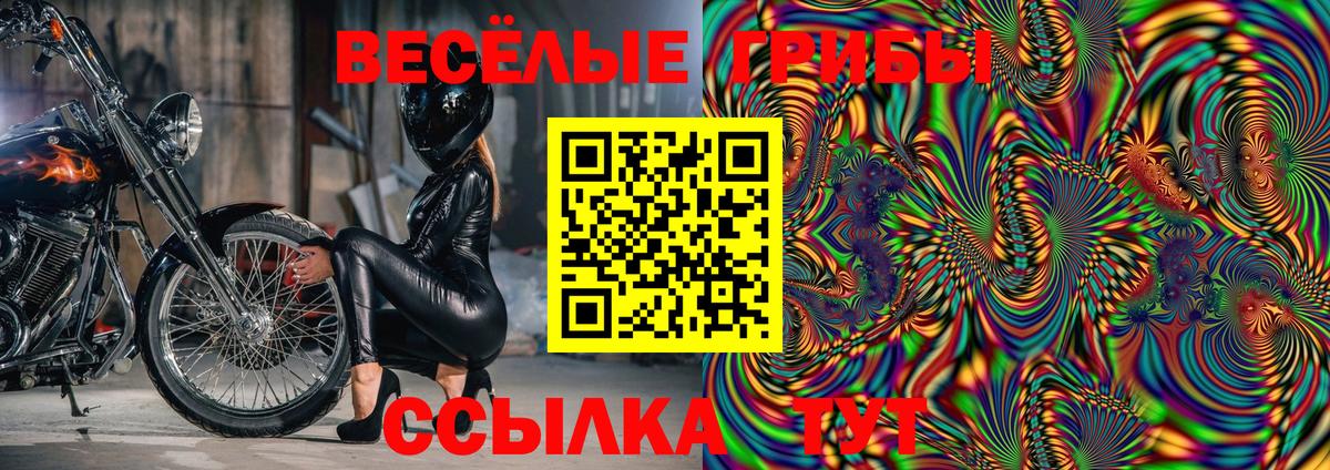 Галлюциногенные грибы Psilocybe  хочу   Вход с VPN  Кемерово  Галлюциногенные грибы прущие грибы 